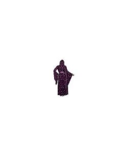 Adult Velvet Celestial Robe -Spirit Halloween 01475532 e