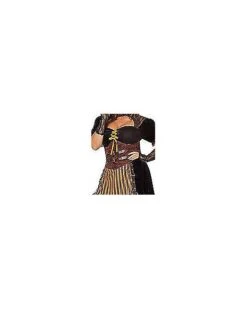 Adult Steampunk Lady Costume -Spirit Halloween 01482488 e