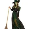 Adult Wicked Witch Costume - The Wizard Of Oz